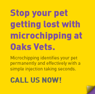 offer-microchipping