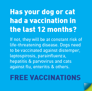 offer-vaccination